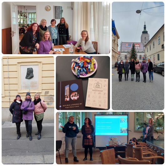 Profesorice iz Estonije na job-shadowingu u III. gimnaziji