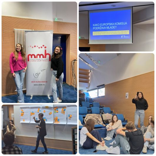 Sudjelovanje na Mreži za suradnju i mlade
