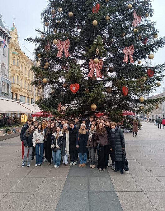 4. f iskoristio nagradni dan za adventsku šetnju.