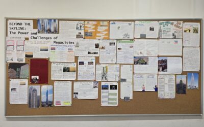 Projekt „Beyond the Skyline: The Power and Callenges of Megacities“